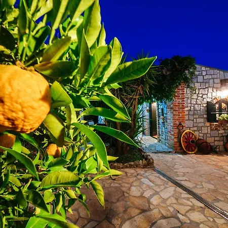 Dom wakacyjny My Dalmatia - Sea View Danica With Private Pool