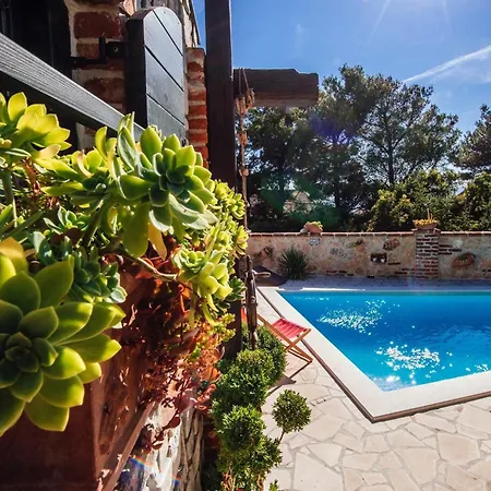 Dom wakacyjny My Dalmatia - Sea View Danica With Private Pool *